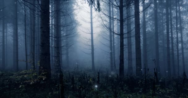 Donker Blauw Gekleurde Mistige Ochtend Bos Sprookje Met Vuurvliegjes Licht — Stockvideo