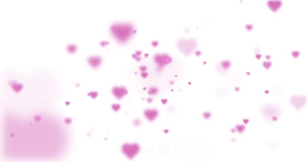 Abstrait Flous Coeurs Couleur Rose Volant Sur Fond Blanc — Video