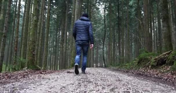Hombre Camina Solo Hermoso Bosque Matutino — Vídeos de Stock