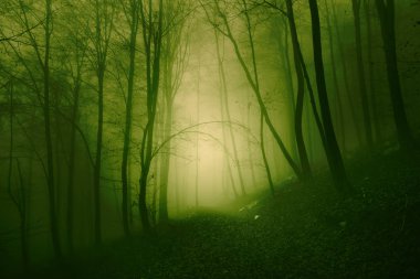 Mystical yellow green foggy light in forest. clipart