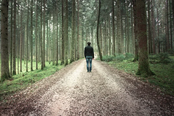 Man standing alone on the forest road in mossy fairytale woods landscape.