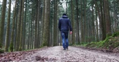 Erkek kişi yalnız sabah orman yolu üzerinde yürüyor.