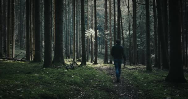 Hombre Camina Solo Oscuro Bosque Musgoso — Vídeo de stock