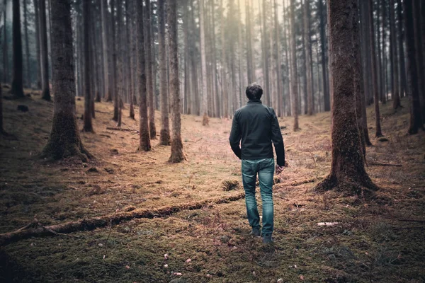 Person walking in the mysterious orange colored mossy forest landscape.