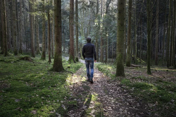 Hombre Caminando Solo Sendero Del Bosque Musgoso — Foto de Stock