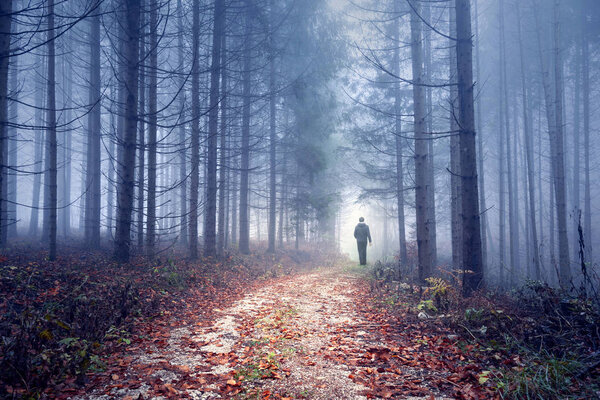 Man walking down the road in foggy autumn season forest