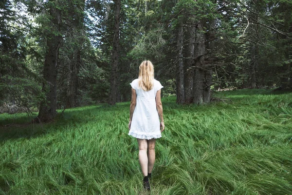 Vrouw in wandelingen in dromerig groen bos — Stockfoto
