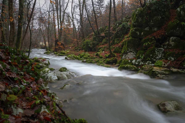 Herfst bos met magische rivier — Stockfoto