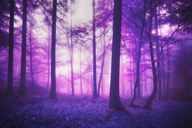 Mystic fantasy violet colored enchanted forest landscape clipart