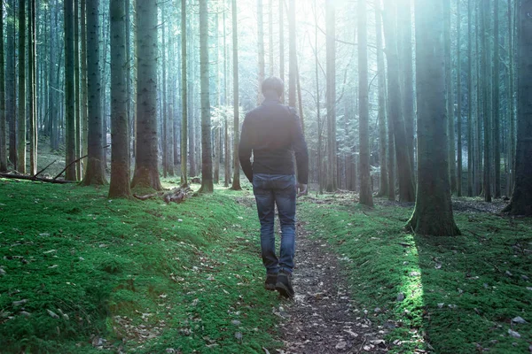 Mystic light in forest with walking male person