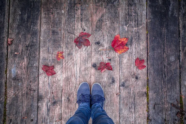 Vista personal de las hojas de otoño en el suelo de madera — Foto de Stock
