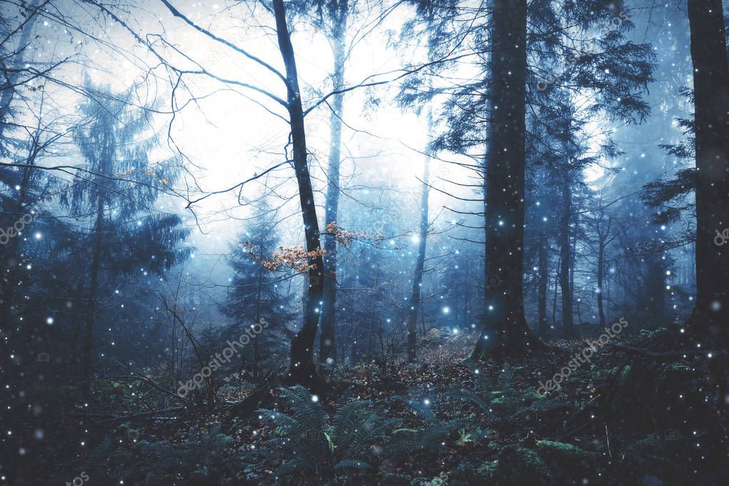 Foggy dark forest landscape with blurry fireflies