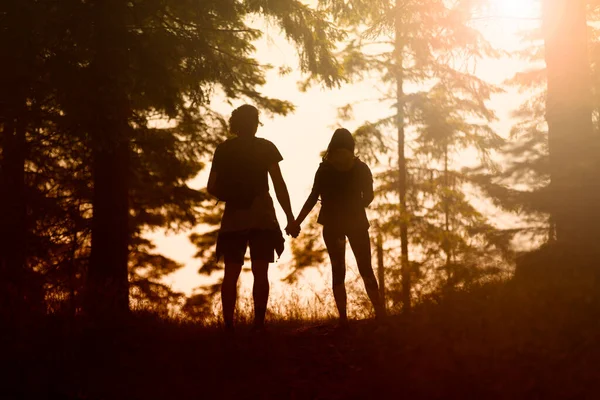 Young couple silhouette holdings hands together in the sunny nature.