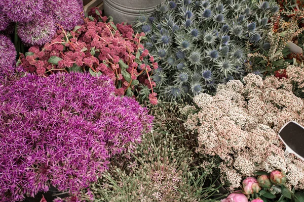 Цветы Цветочном Магазине Тюльпаны Декоративный Лук Роттердам Нидерланды — стоковое фото