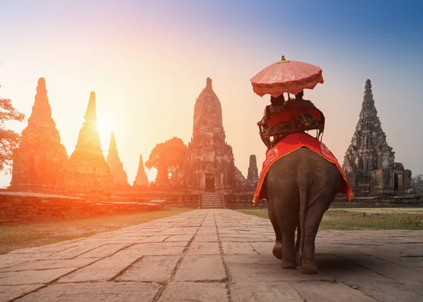 Turistler ile bir fil Wat Chaiwatthanaram tapınağında Ayutthaya Historical Park, Unesco Dünya Mirası Thailan içinde