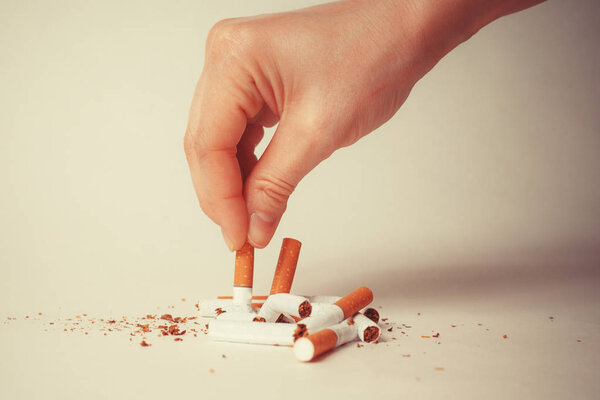 Close-up hand crushing a pile of cigarettes. Angry hand breaking tobacco. Gesture for anti, quit smoking addiction concept. Stop smoking message, social issue concept background.