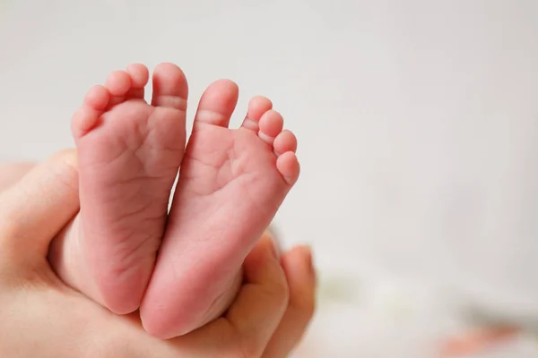 Babyfüße in den Händen der Mutter. Mutter und ihr Kind. Glückliches Familienkonzept. — Stockfoto