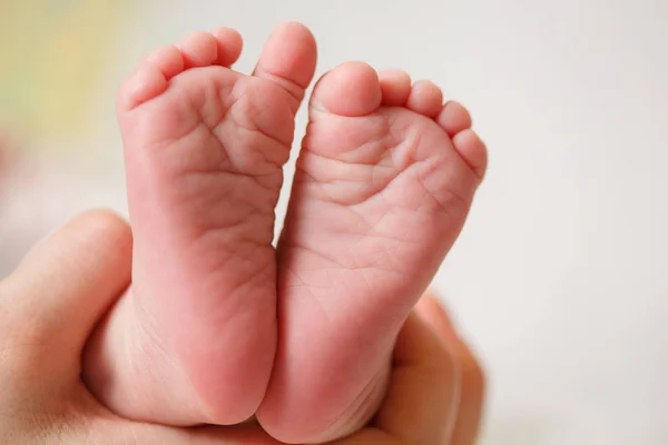 Nogi Dziecka Rękach Matki Nowo Narodzone Nóżki Kobiecych Ukształtowanych Dłoniach — Zdjęcie stockowe