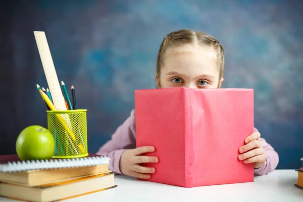 Little Primary Schoolgirl Leer Libro Estudio Retrato Lindo Aprendiz Elemental — Foto de Stock
