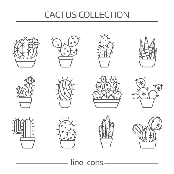 Vonal ikonok kaktusz — Stock Vector