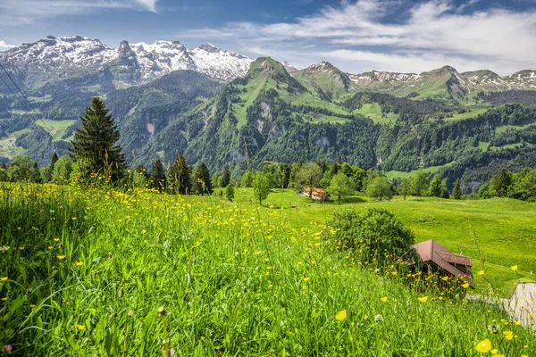 Nádherné Panorama Krajiny Švýcarských Alp Sarner Klingenstock Chaiserstock Poblíž Illgau — Stock fotografie