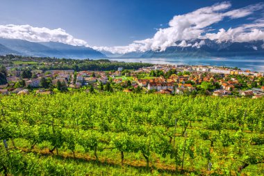 Panoramic view of Montreux city with Swiss Alps, lake Geneva and vineyard on Lavaux region, Canton Vaud, Switzerland, Europe.  clipart