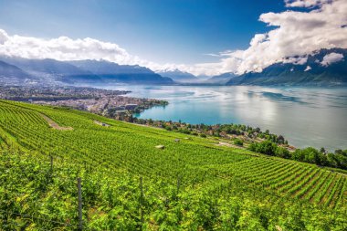 İsviçre Alpleri, Cenevre Gölü ve Lavaux bölge, Canton Vaud, İsviçre, Europe bağında Montreux şehrin panoramik görünümü. 