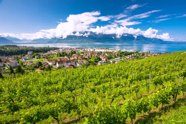 Montreux Cidade Com Alpes Suíços Lago Genebra Vinha Região Lavaux — Fotografia de Stock