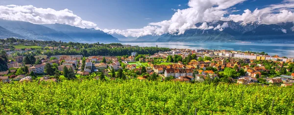 Montreux Stadt Mit Schweizer Alpen Genfersee Und Weinberg Auf Lavaux — Stockfoto