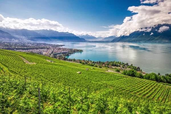 Panoramę Miasta Montreux Szwajcarski Alpy Jezioro Genewskie Oraz Winnice Regionie — Zdjęcie stockowe