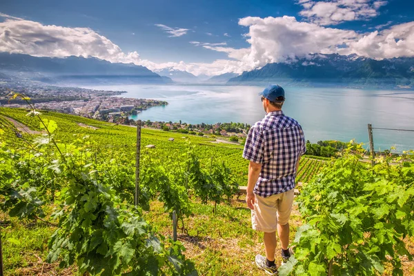 Вид Человека Город Монтрё Швейцарскими Альпами Озером Женева Виноградником Регионе — стоковое фото