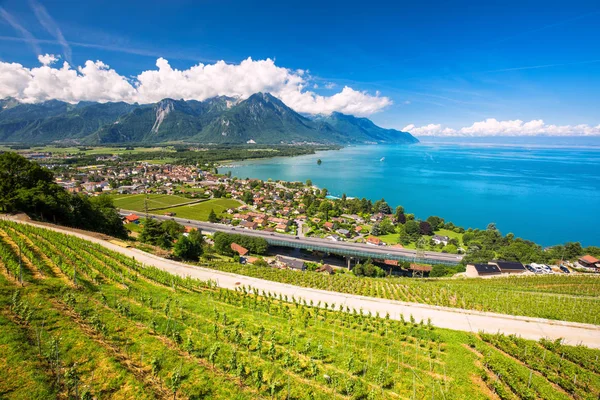 Panoramautsikt Över Villeneuve Stad Med Schweiziska Alperna Genèvesjön Och Vingård — Stockfoto