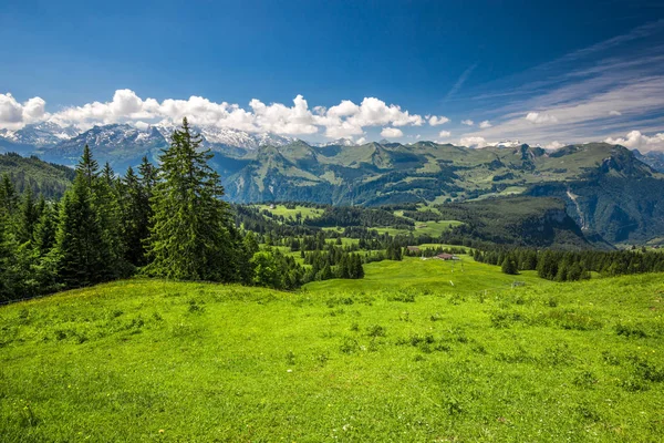 Vista Panoramica Della Svizzera Con Alpi Svizzere Prati Verdi — Foto Stock