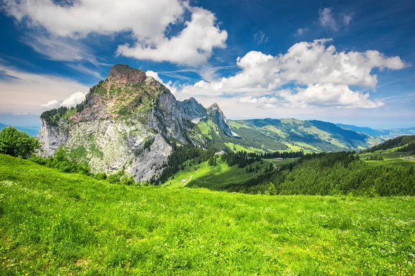 Vista Panoramica Grosser Mythen Montagne Prati Verdi Ibergeregg Svizzera — Foto Stock