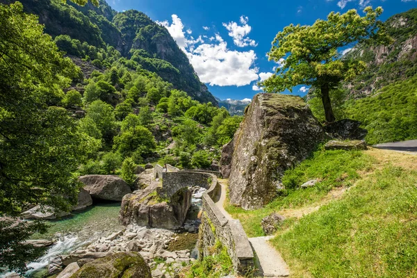 Sungai Bavona Dengan Kanton Tessin Lembah Bavona Swiss — Stok Foto