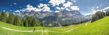 Görünümü İsviçre dağlar - Piz Segnas, Piz Sardona, Laaxer Stockli Ampachli,: Glarus, Switzerland, Avrupa'dan ve Karaağaç Köyü. 