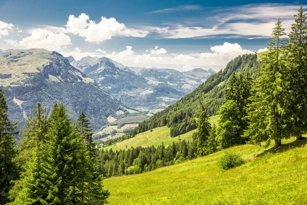 グローサー Mythen 山と緑の牧草地 Ibergeregg スイス ヨーロッパでスイスの美しい夏の風景 — ストック写真