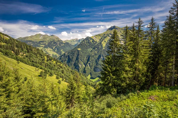 Blick Auf Ulmendorf Und Schweizer Berge Piz Segnas Piz Sardona — Stockfoto