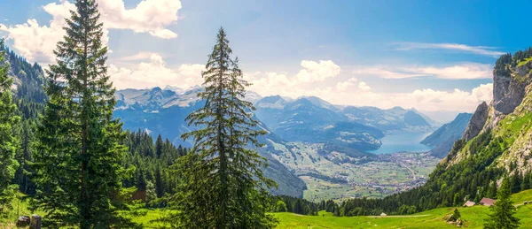 グローサー Mythen 山と緑の牧草地 Ibergeregg スイス ヨーロッパでスイスの美しい夏の風景 — ストック写真