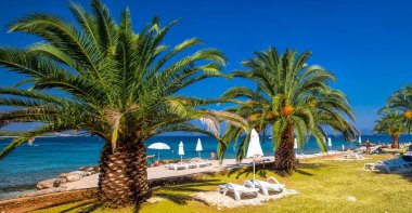 Sahil mesire Brac Adası palmiye ağaçları ve turkuaz açık okyanus su, Supetar, Brac, Hırvatistan ile
