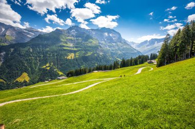 Karaağaç Köyü ve İsviçre dağlar - Piz Segnas, Piz Sardona, Laaxer Stockli Ampachli,: Glarus, Switzerland, Avrupa'dan. 