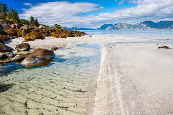 Piękny Widok Plażę Eggum Norwegii Lofoten Islands Norwegia Europa — Zdjęcie stockowe