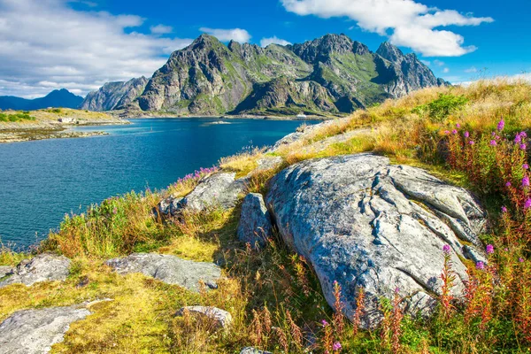 Lofoten Inseln Norwegen Europa — Stockfoto