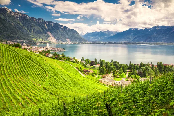 蒙特勒城市与瑞士阿尔卑斯 日内瓦湖和葡萄园在 Lavaux 小行政区沃州 — 图库照片