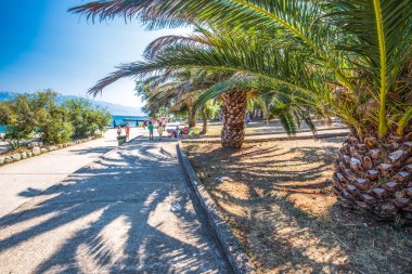 Brac, Hırvatistan - 6 Ağustos 2018 - taş plaj turkuaz ile Brac adada temiz okyanus su, Supetar, Brac, Hırvatistan