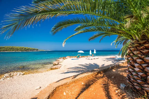 Promenade Langs Kust Van Brac Eiland Met Palmbomen Een Turquoise — Stockfoto