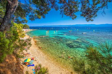 Seaside promenade on Brac island with pine trees and turquoise clear ocean water, Bol, Brac, Croatia. clipart
