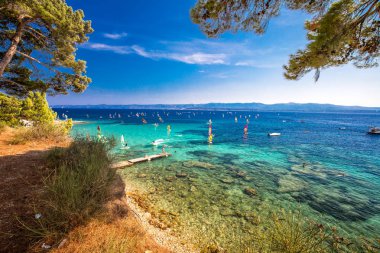 Sahil mesire Brac Adası çam ağaçları ve turkuaz açık okyanus su, Bol, Brac, Hırvatistan ile.