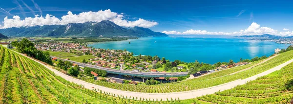 Panoramautsikt Över Montreux City Med Schweiziska Alperna Genèvesjön Och Vingård — Stockfoto