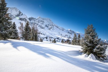 Çarpıcı kış gündoğumu Adamello, kasabadan Tonale, İtalyan Alpleri, Avrupa Presanella dağlar üzerinde. 